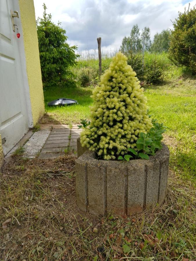 Domki U Dobrusi Mikołajki Kültér fotó